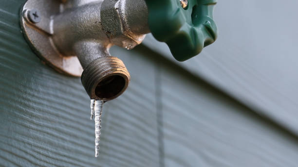 Best Plumbing Repair Near Me  in Bell Nyon, CA